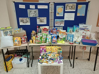 "Дом для Шарика"