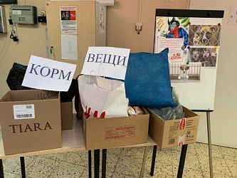 "Дом для Шарика"